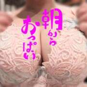 クルミ秘書 🐤🐤🐤 秘書の品格 クラブアッシュ ヴァリエ