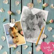 ヒメ日記 2025/11/29 15:32 投稿 明智由奈 五十路マダム 新潟店(カサブランカグループ)