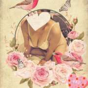 ヒメ日記 2026/02/23 17:50 投稿 明智由奈 五十路マダム 新潟店(カサブランカグループ)