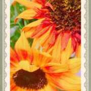 ヒメ日記 2025/09/04 17:24 投稿 高岡　あや 川崎南町 素敵な奥様（川崎ハレ系）