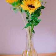 ヒメ日記 2025/10/02 10:15 投稿 高岡　あや 川崎南町 素敵な奥様（川崎ハレ系）