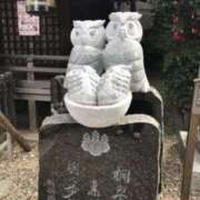 ヒメ日記 2025/01/11 23:10 投稿 キ　リ びしょぬれ潮吹秘書