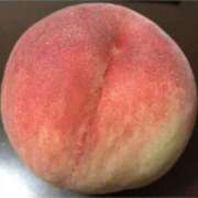 ヒメ日記 2025/01/12 04:26 投稿 キ　リ びしょぬれ潮吹秘書