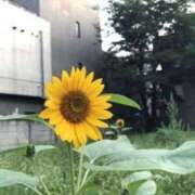 ヒメ日記 2025/02/26 16:07 投稿 キ　リ びしょぬれ潮吹秘書