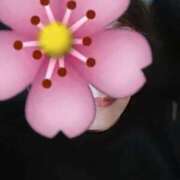 石野心晴 ※無題 五十路マダム 徳島店