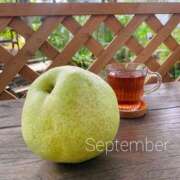 ヒメ日記 2025/09/30 06:10 投稿 藤木 十恋人～トレンド～