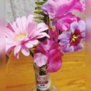 ヒメ日記 2025/03/07 22:46 投稿 なつこ 脱がされたい人妻 木更津店