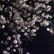 ヒメ日記 2025/04/05 22:10 投稿 なつこ 脱がされたい人妻 木更津店