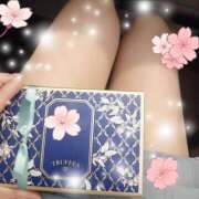 ヒメ日記 2025/04/07 10:47 投稿 松浦　かえで 東京ローズマリー