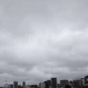 ヒメ日記 2025/05/17 16:17 投稿 松浦　かえで 東京ローズマリー