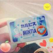 ヒメ日記 2025/06/28 13:17 投稿 松浦　かえで 東京ローズマリー