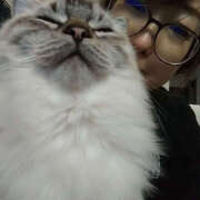 ヒメ日記 2024/12/12 10:35 投稿 こなん ぺろぺろベロベロ専科 ぺろんちょ