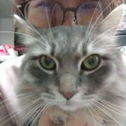 ヒメ日記 2025/02/13 09:17 投稿 こなん ぺろぺろベロベロ専科 ぺろんちょ