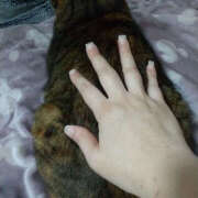 ヒメ日記 2025/11/01 10:11 投稿 こなん ぺろぺろベロベロ専科 ぺろんちょ