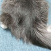 ヒメ日記 2025/11/14 09:36 投稿 こなん ぺろぺろベロベロ専科 ぺろんちょ