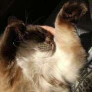 ヒメ日記 2026/02/14 09:55 投稿 こなん ぺろぺろベロベロ専科 ぺろんちょ