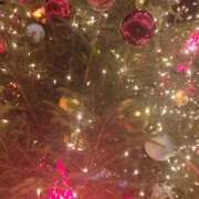 ヒメ日記 2024/12/24 17:50 投稿 レナ プレイガール(亀有)