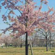 ヒメ日記 2026/03/18 19:11 投稿 あすみ プレイガール(亀有)