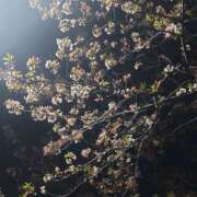 あすみ 土曜日 プレイガール(亀有)