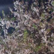 ヒメ日記 2026/05/09 16:55 投稿 あすみ プレイガール(亀有)