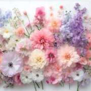 ヒメ日記 2024/12/27 12:08 投稿 純那 秘密倶楽部 凛 錦糸町店