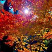 ヒメ日記 2024/12/30 13:02 投稿 純那 秘密倶楽部 凛 錦糸町店