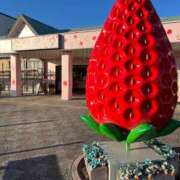 ヒメ日記 2025/01/18 12:08 投稿 純那 秘密倶楽部 凛 錦糸町店