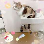 ヒメ日記 2025/02/23 12:01 投稿 純那 秘密倶楽部 凛 錦糸町店