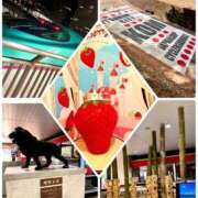 ヒメ日記 2025/03/09 12:05 投稿 純那 秘密倶楽部 凛 錦糸町店