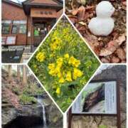 ヒメ日記 2025/03/22 12:31 投稿 純那 秘密倶楽部 凛 錦糸町店