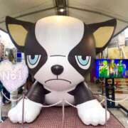 ヒメ日記 2025/04/08 12:30 投稿 純那 秘密倶楽部 凛 錦糸町店