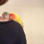 ヒメ日記 2025/09/14 09:56 投稿 純那 秘密倶楽部 凛 錦糸町店