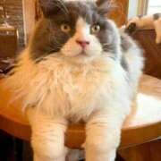 ヒメ日記 2025/09/20 13:00 投稿 純那 秘密倶楽部 凛 錦糸町店