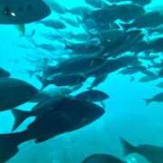 ヒメ日記 2025/11/12 07:49 投稿 純那 秘密倶楽部 凛 錦糸町店