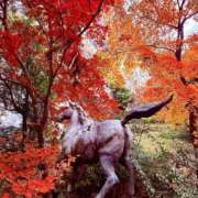 ヒメ日記 2025/11/29 09:50 投稿 純那 秘密倶楽部 凛 錦糸町店