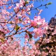 ヒメ日記 2026/03/02 12:01 投稿 純那 秘密倶楽部 凛 錦糸町店