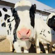 ヒメ日記 2026/03/12 20:31 投稿 純那 秘密倶楽部 凛 錦糸町店