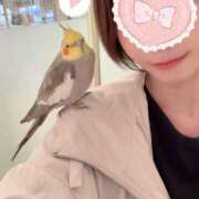 ヒメ日記 2026/03/16 22:28 投稿 純那 秘密倶楽部 凛 錦糸町店