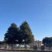 ヒメ日記 2026/03/08 14:09 投稿 ちか 秘密倶楽部 凛 錦糸町店