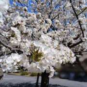 ヒメ日記 2026/03/22 02:07 投稿 ちか 秘密倶楽部 凛 錦糸町店