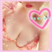 ヒメ日記 2024/12/09 17:04 投稿 そら 静岡駅前ちゃんこ