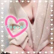 ヒメ日記 2025/01/20 23:51 投稿 そら 静岡駅前ちゃんこ