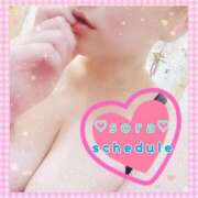 ヒメ日記 2025/04/11 16:06 投稿 そら 静岡駅前ちゃんこ