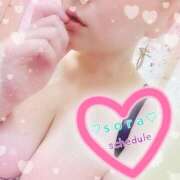 ヒメ日記 2025/06/12 14:47 投稿 そら 静岡駅前ちゃんこ