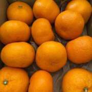 ヒメ日記 2025/12/19 18:31 投稿 佐伯ほむら 池袋3P複数プレイ専門店 ハーレム