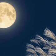 ヒメ日記 2025/10/06 14:02 投稿 Mirei Takigawa ELEGANT－エレガント－