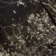 ヒメ日記 2026/04/21 15:57 投稿 えな ノース -North-