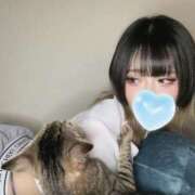 ヒメ日記 2025/07/29 19:27 投稿 なお Candy×Candy （キャンディ×キャンディ）