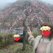 ヒメ日記 2025/03/17 08:16 投稿 くれは 丸妻 横浜本店