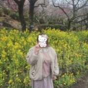 ヒメ日記 2025/03/17 22:53 投稿 くれは 丸妻 横浜本店